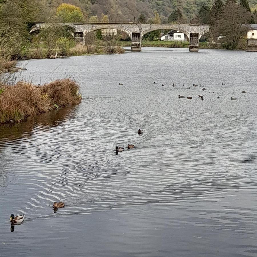 Le Sentier Des Lavandes Vresse-sur-Semois Exteriör bild