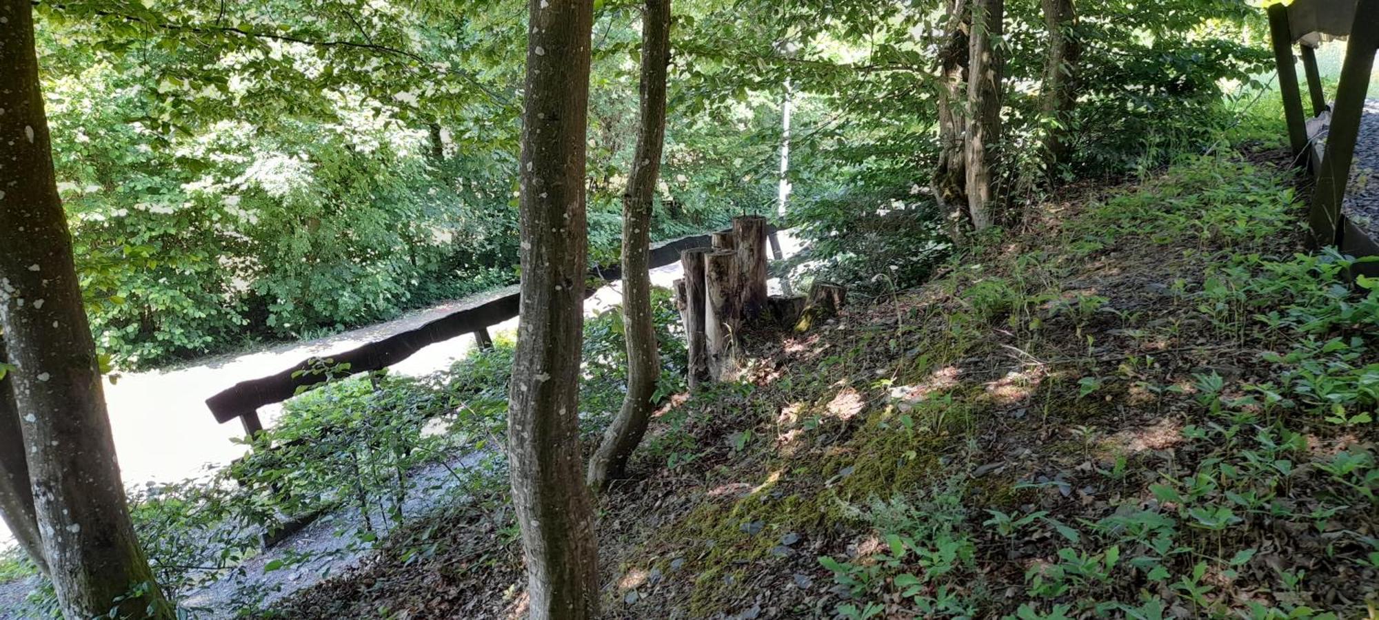 Le Sentier Des Lavandes Vresse-sur-Semois Exteriör bild