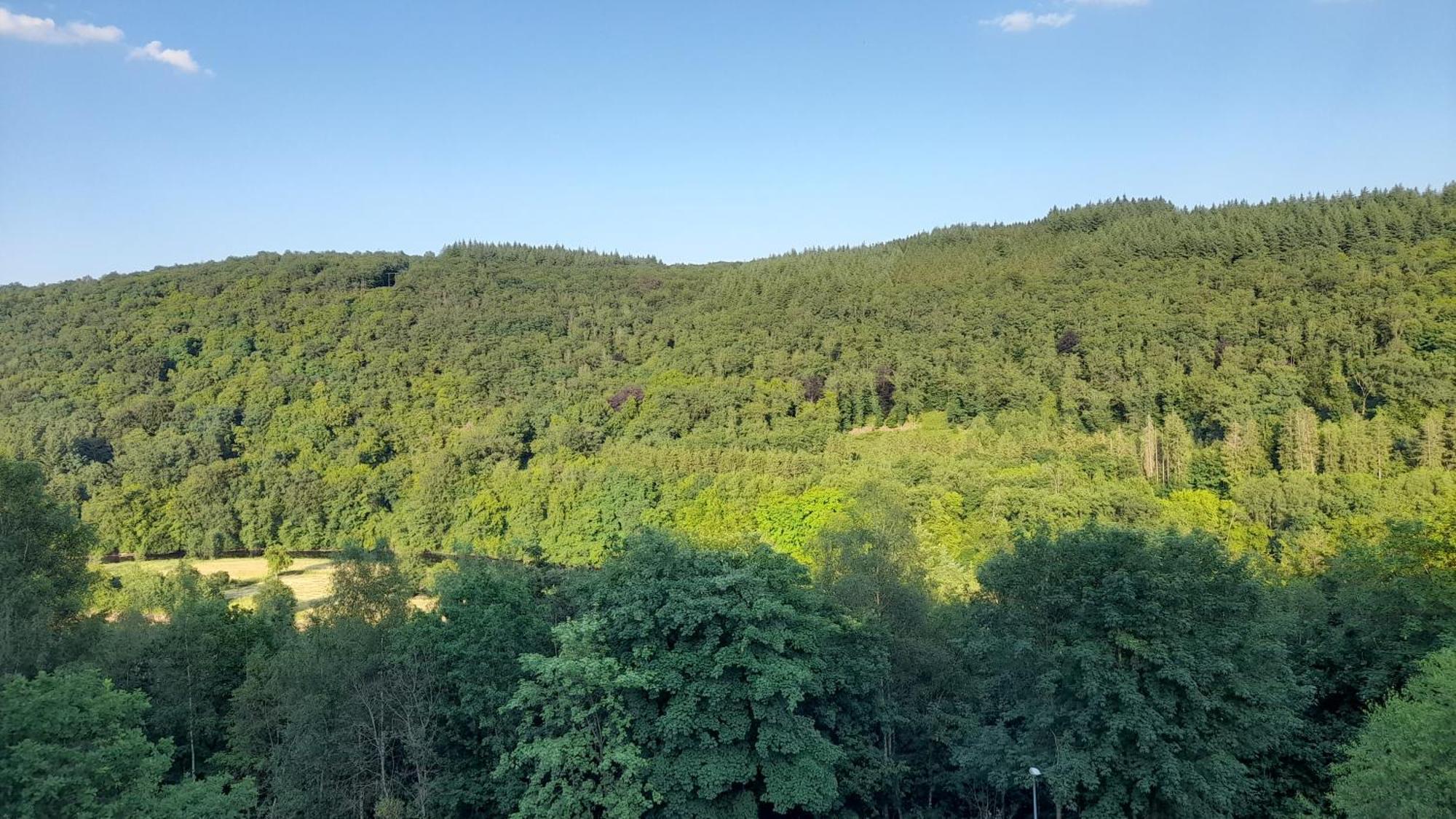 Le Sentier Des Lavandes Vresse-sur-Semois Exteriör bild