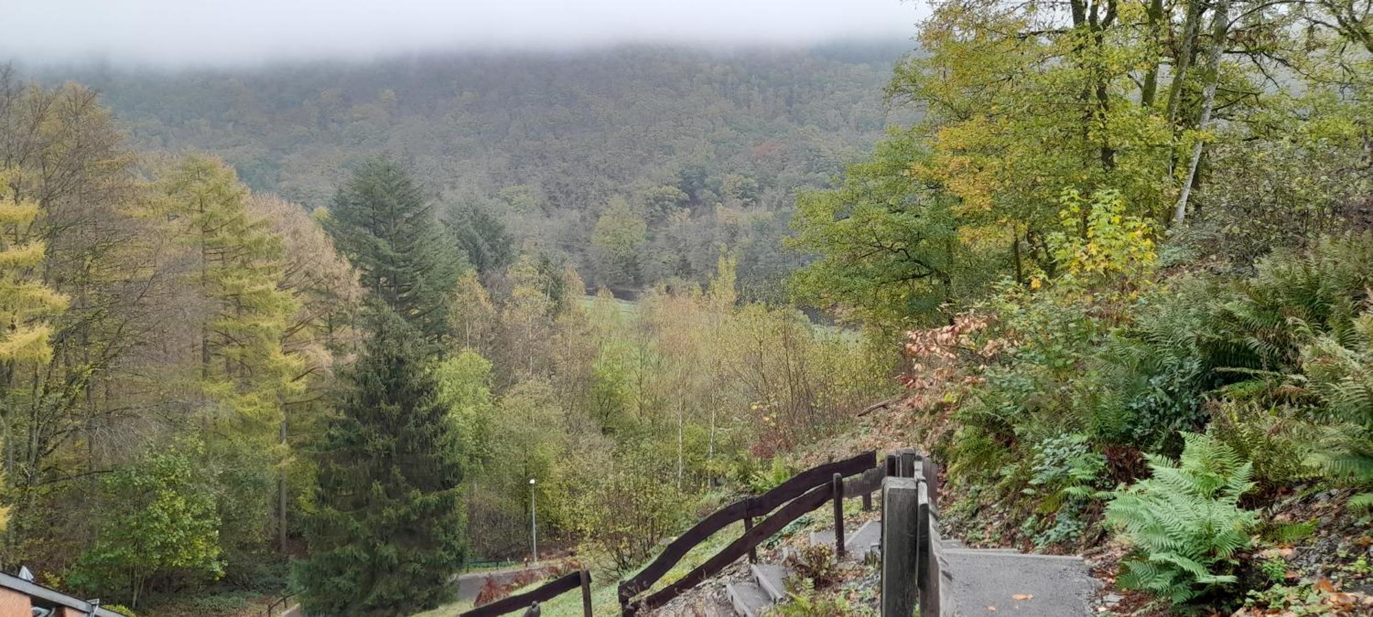 Le Sentier Des Lavandes Vresse-sur-Semois Exteriör bild