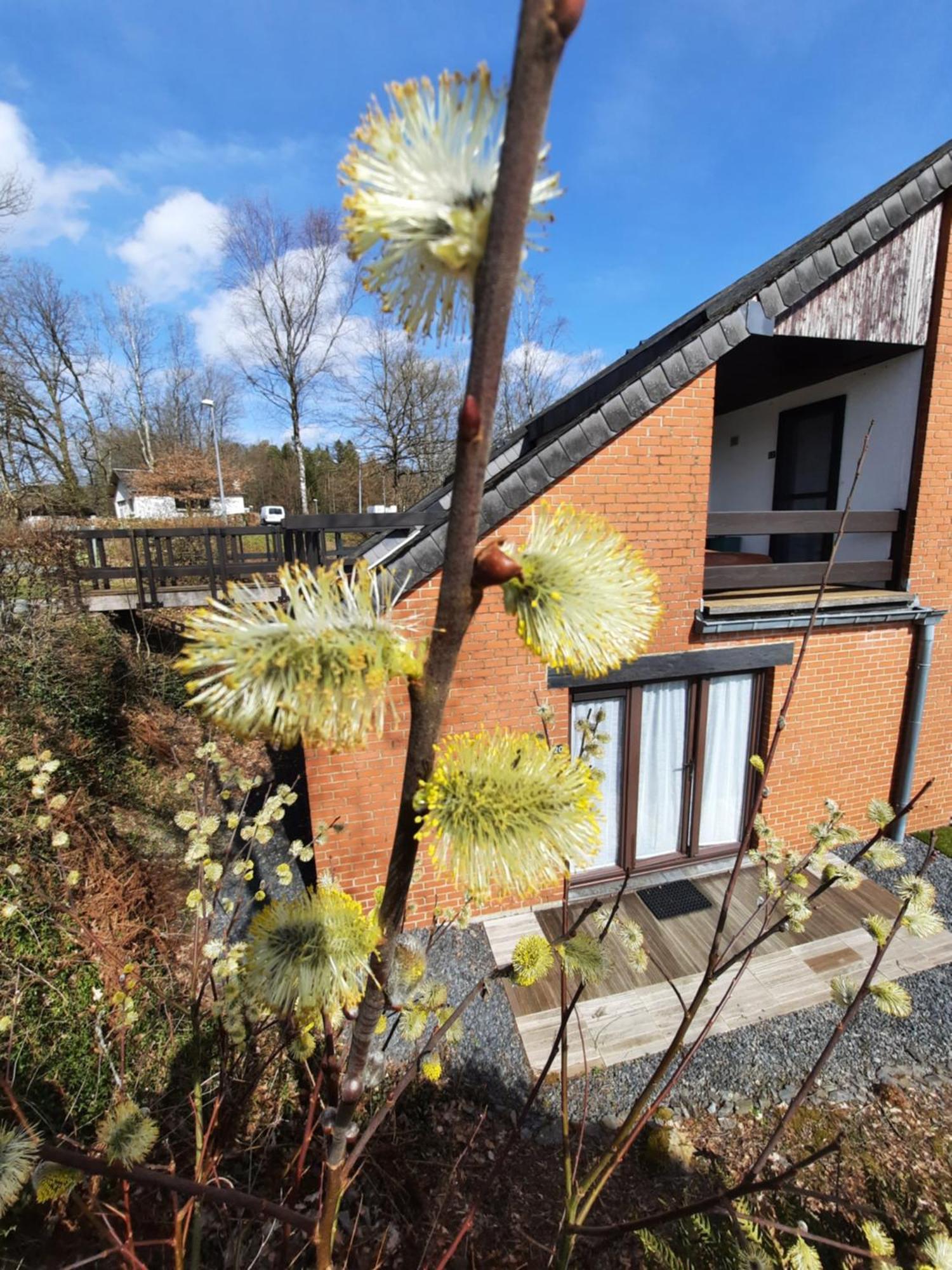 Le Sentier Des Lavandes Vresse-sur-Semois Exteriör bild